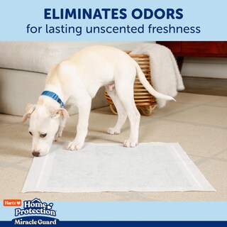 Foto 5 | Almohadillas Para Perros Hartz Home Protection Miracle Guard Xxl 20 Unidades - Venta Internacional.