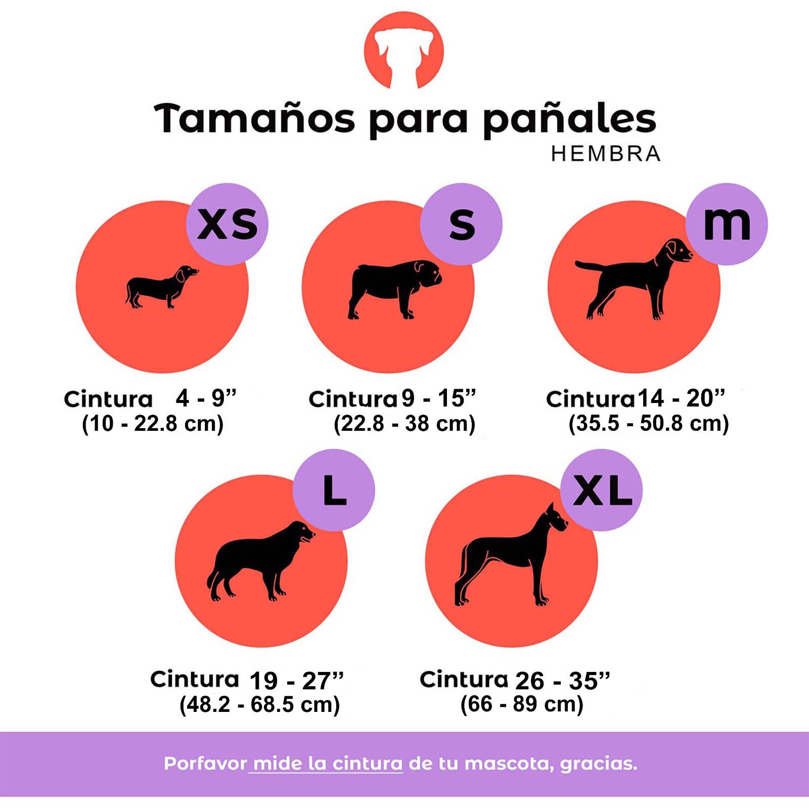 Foto 4 pulgar | Pañales Lavables y Reutilizables para Perros Hembra Petting Is Caring Multicolor Estampados 3 Piezas Talla M