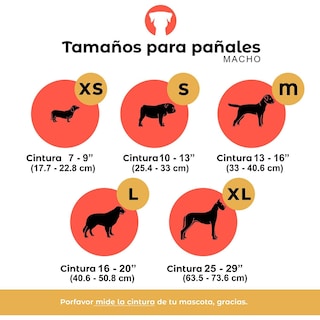 Foto 3 | Pañales Lavables y Reutilizables para Perros Macho Petting Is Caring Multicolor Estampados 3 Piezas Talla Xs