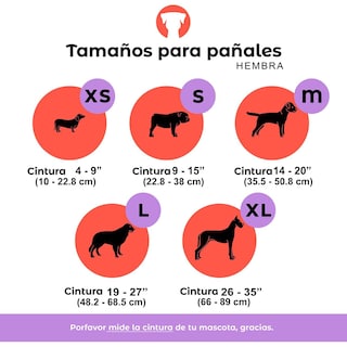 Foto 3 | Pañales Lavables y Reutilizables para Perros Hembra Petting Is Caring Multicolor Estampados 3 Piezas Talla Xs
