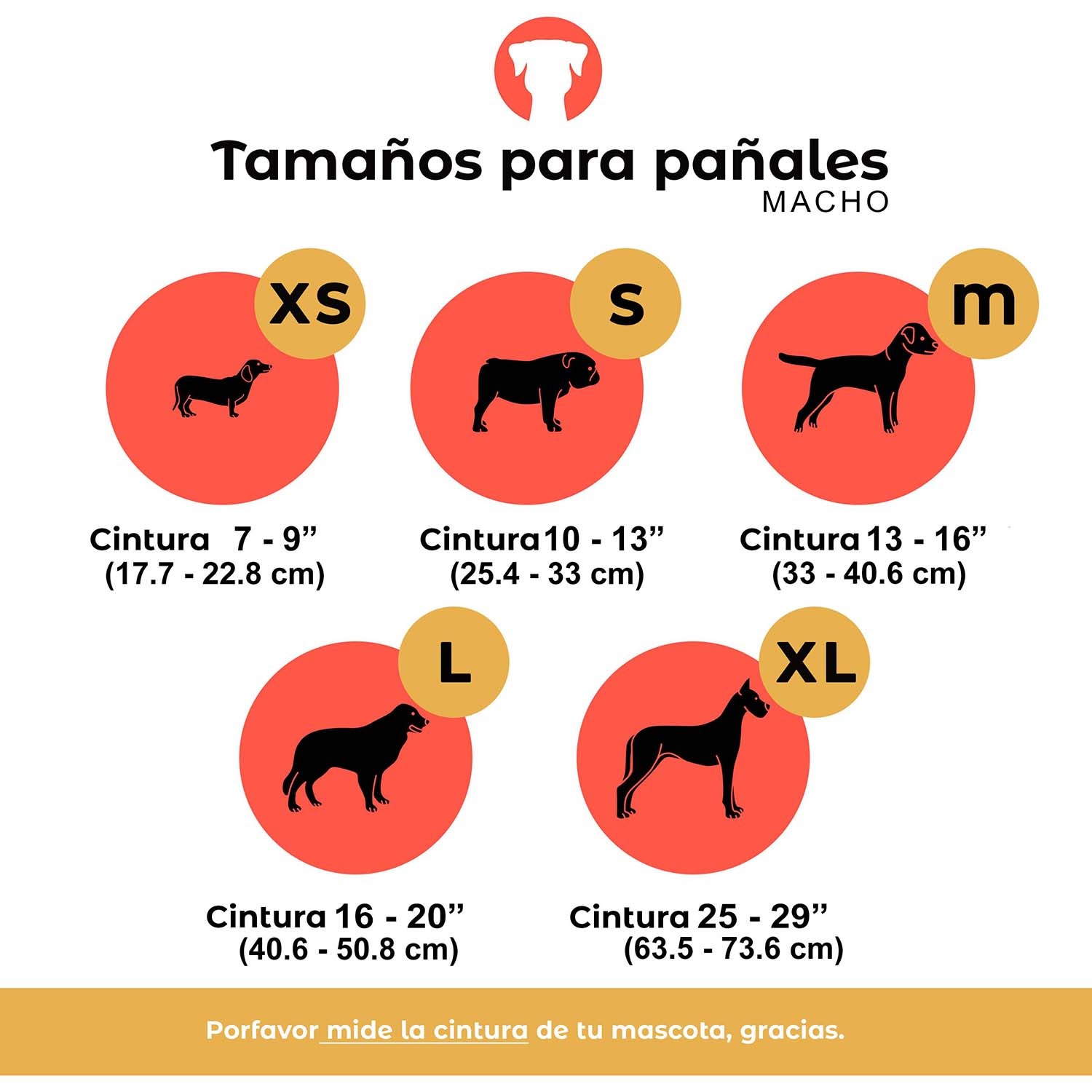 Foto 4 pulgar | Pañales Lavables y Reutilizables para Perros Macho Petting Is Caring 3 Piezas Talla L