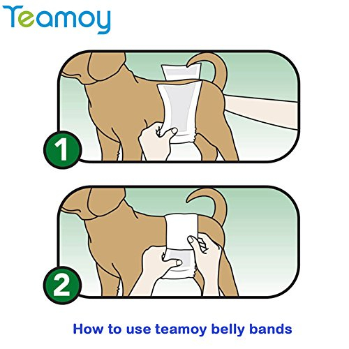 Foto 7 pulgar | Pañales Wrap Teamoy Reutilizables Para Perros Machos, Lavables, Paquete De 3 - Venta Internacional.
