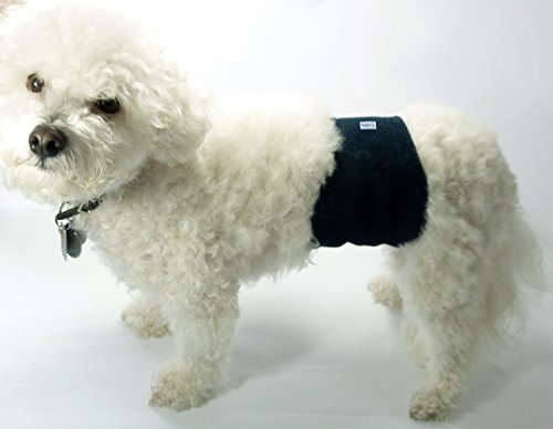 Foto 8 pulgar | Pañales Wrap Teamoy Reutilizables Para Perros Machos, Lavables, Paquete De 3 - Venta Internacional.
