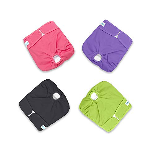 Pañales Para Perros Teamoy Lavables Y Reutilizables Para Perras (4 Unidades) - Venta Internacional.