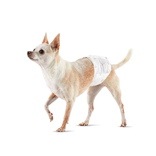 Pañales Desechables Amazon Basics Para Perros Machos, Talla X-small, 30 Pa - Venta Internacional.