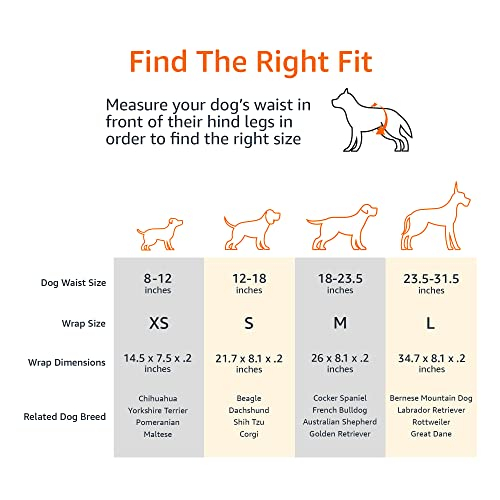Foto 5 | Pañales Desechables Amazon Basics Para Perros Machos, Talla X-small, 30 Pa - Venta Internacional.