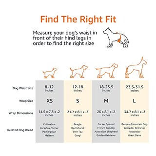 Foto 5 | Pañales Desechables Amazon Basics Para Perros Machos, Talla X-small, 30 Pa - Venta Internacional.