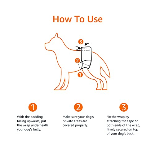 Foto 7 | Pañales Desechables Amazon Basics Para Perros Machos, Talla X-small, 30 Pa - Venta Internacional.