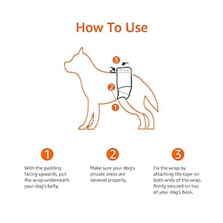 Foto 7 | Pañales Desechables Amazon Basics Para Perros Machos, Talla X-small, 30 Pa - Venta Internacional.