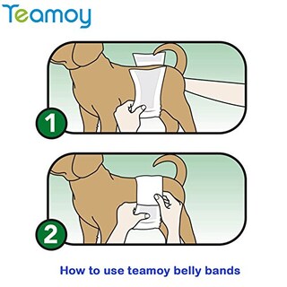 Foto 6 | Pañales Reutilizables Teamoy Para Perros Machos, Talla M, Paquete De 3 - Venta Internacional.