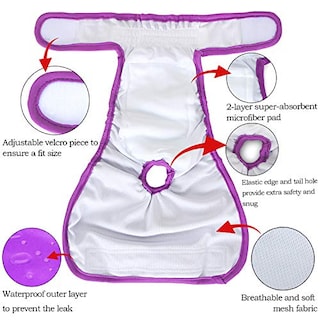 Foto 4 | Pañales Para Perros Teamoy Lavables Y Reutilizables Para Perras (4 Unidades) - Venta Internacional.