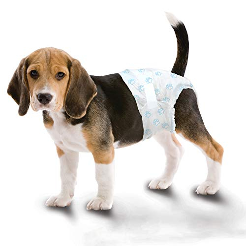 Foto 5 | Pañales Desechables Para Perros Four Paws Wee-wee, 12 Unidades, Medianos - Venta Internacional.
