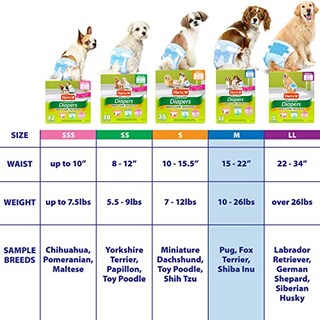 Foto 6 | Pañales Desechables Para Perros Hartz Flashdry Gel Technology M 32 - Venta Internacional.