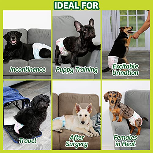 Foto 6 pulgar | Pañales Desechables Para Perros Hartz Flashdry Gel Technology S 36 - Venta Internacional.