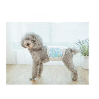Foto 1 | Pañales Para Perros Totalmente Absorbentes Para Hombres Huoguo, Talla M, 10 Piezas - Venta Internacional.