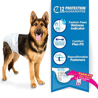 Foto 2 | Pañales Desechables Para Perros Four Paws Wee-wee, 12 Unidades, L/xl - Venta Internacional.
