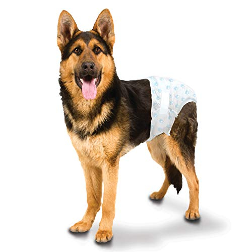 Foto 6 pulgar | Pañales Desechables Para Perros Four Paws Wee-wee, 12 Unidades, L/xl - Venta Internacional.