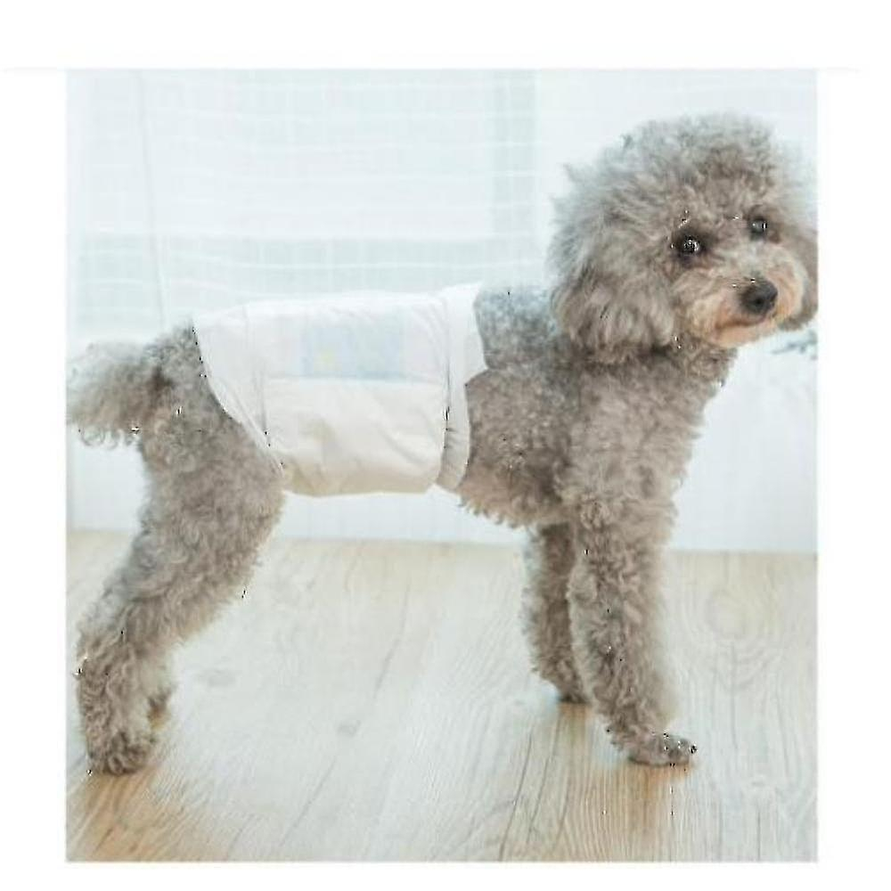 Foto 3 pulgar | Pañales Para Perros Huoguo, Pantalones De Seguridad Para Perros Machos, Talla M (paquete De 10) - Venta Internacional.