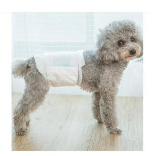 Foto 2 | Pañales Para Perros Huoguo, Pantalones De Seguridad Para Perros Machos, Talla M (paquete De 10) - Venta Internacional.
