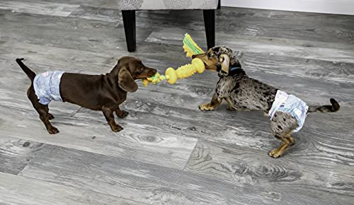 Foto 4 pulgar | Pañales Desechables Para Perros Hartz Flashdry Gel Ss, 38 Unidades - Venta Internacional.