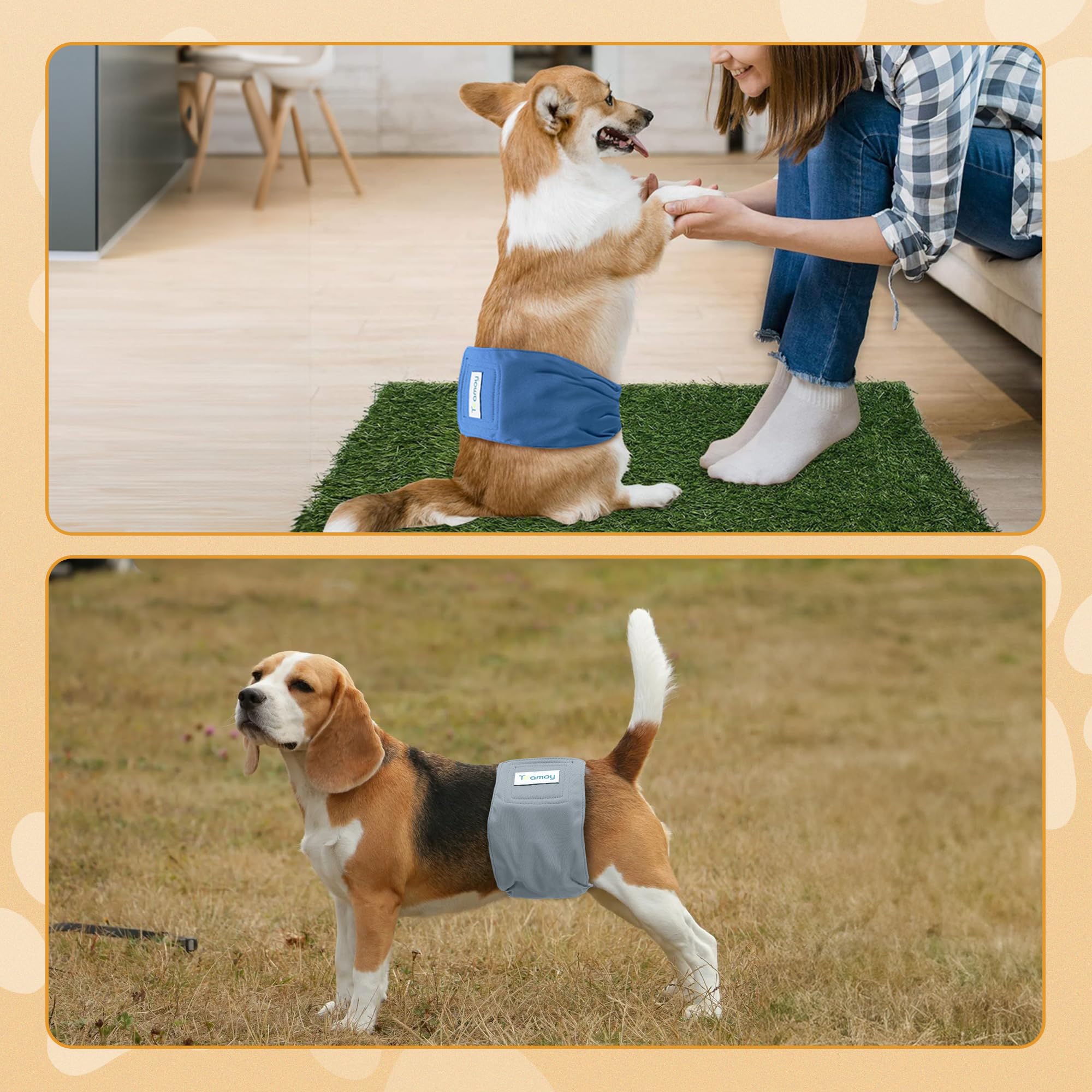 Foto 7 | Pañales Reutilizables Teamoy Para Perros Machos, Paquete De 3 - Venta Internacional.