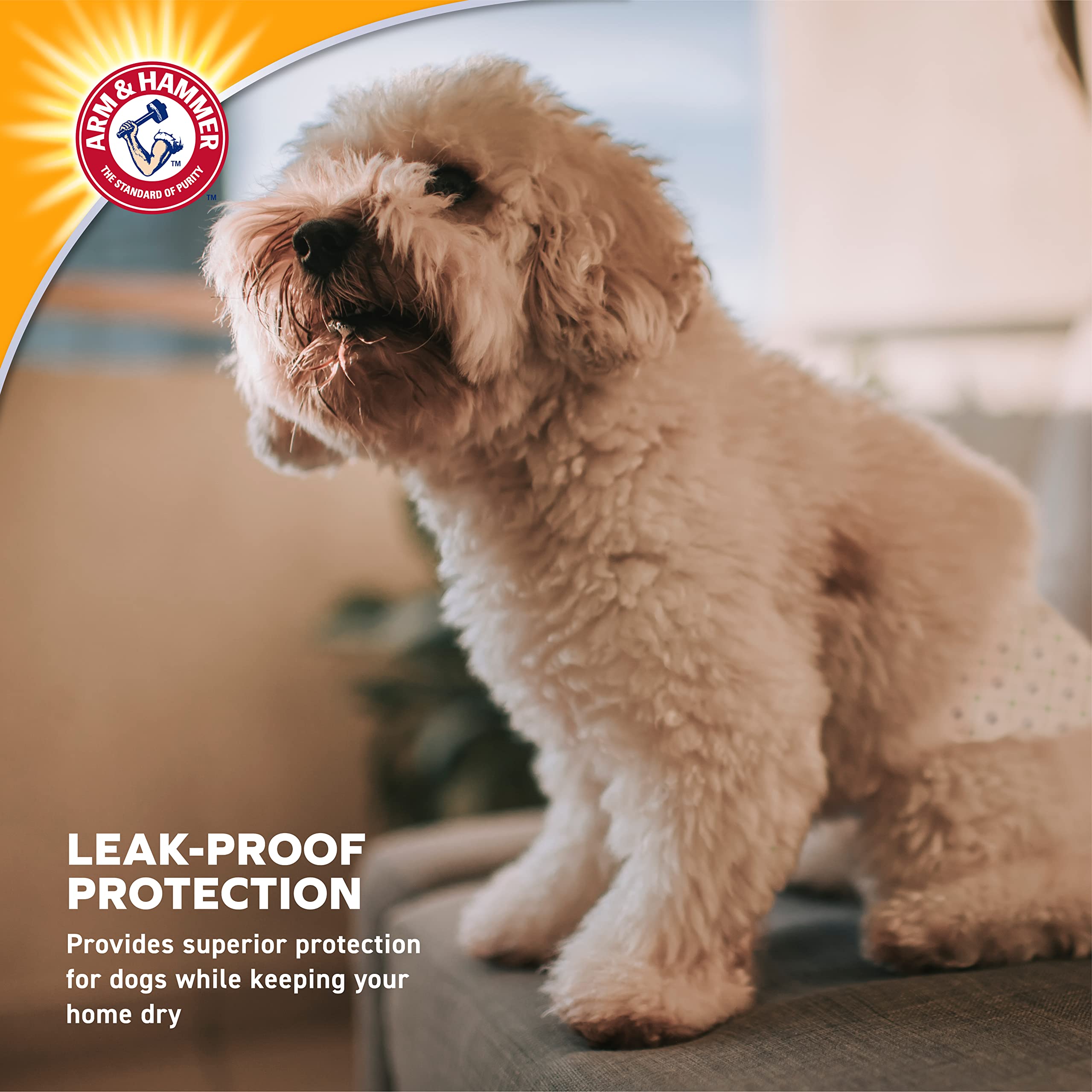 Foto 4 | Pañales Desechables Para Perros Hembras Arm & Hammer, 12 Unidades - Venta Internacional.