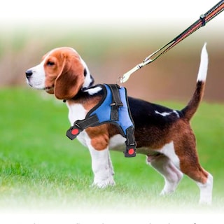 Foto 2 | Pechera Arnés para Mascota Ajustable Elegate color Azul