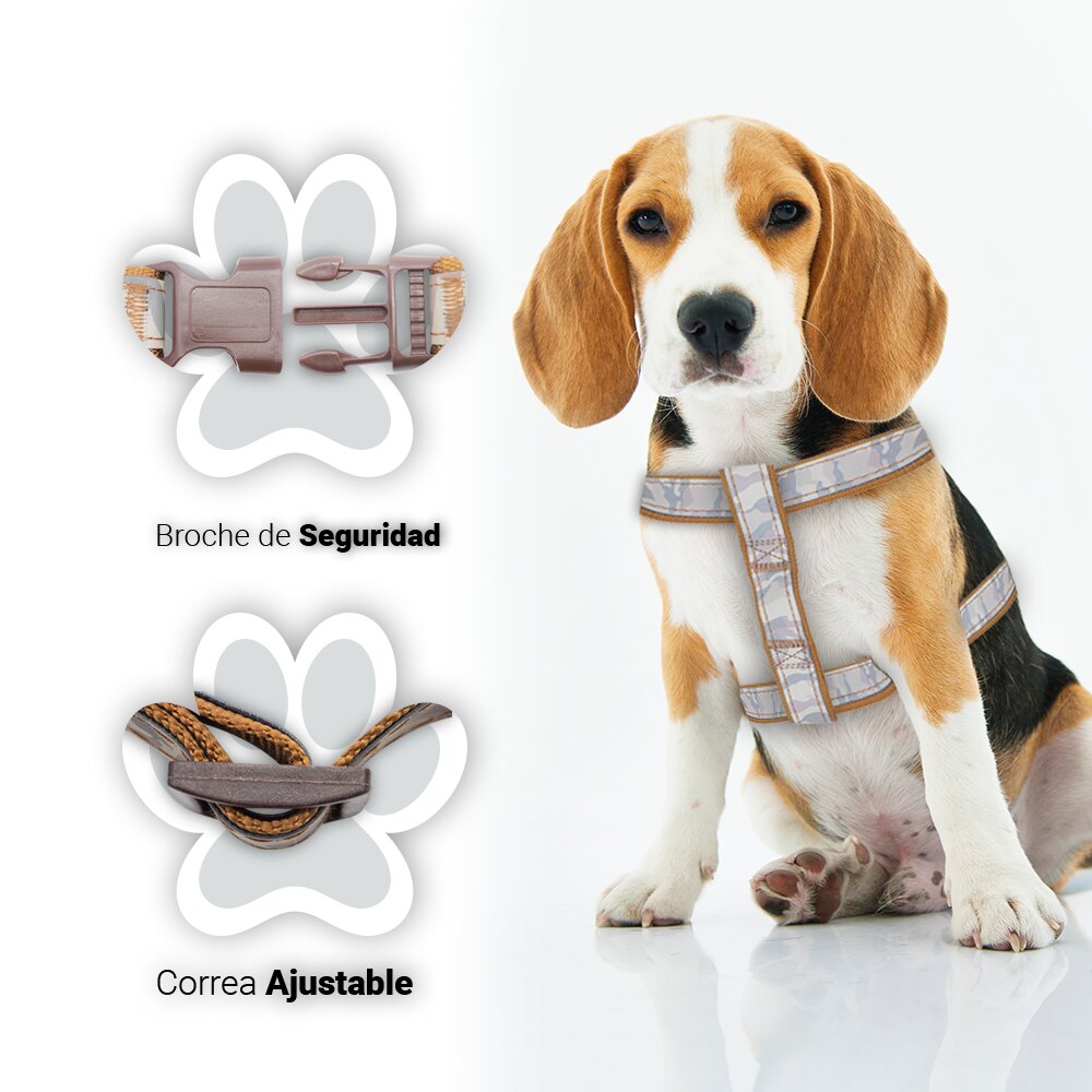 Foto 3 pulgar | Kit para Mascotas Accesorios de Paseo Marrón más Plato Aluminio Resistente