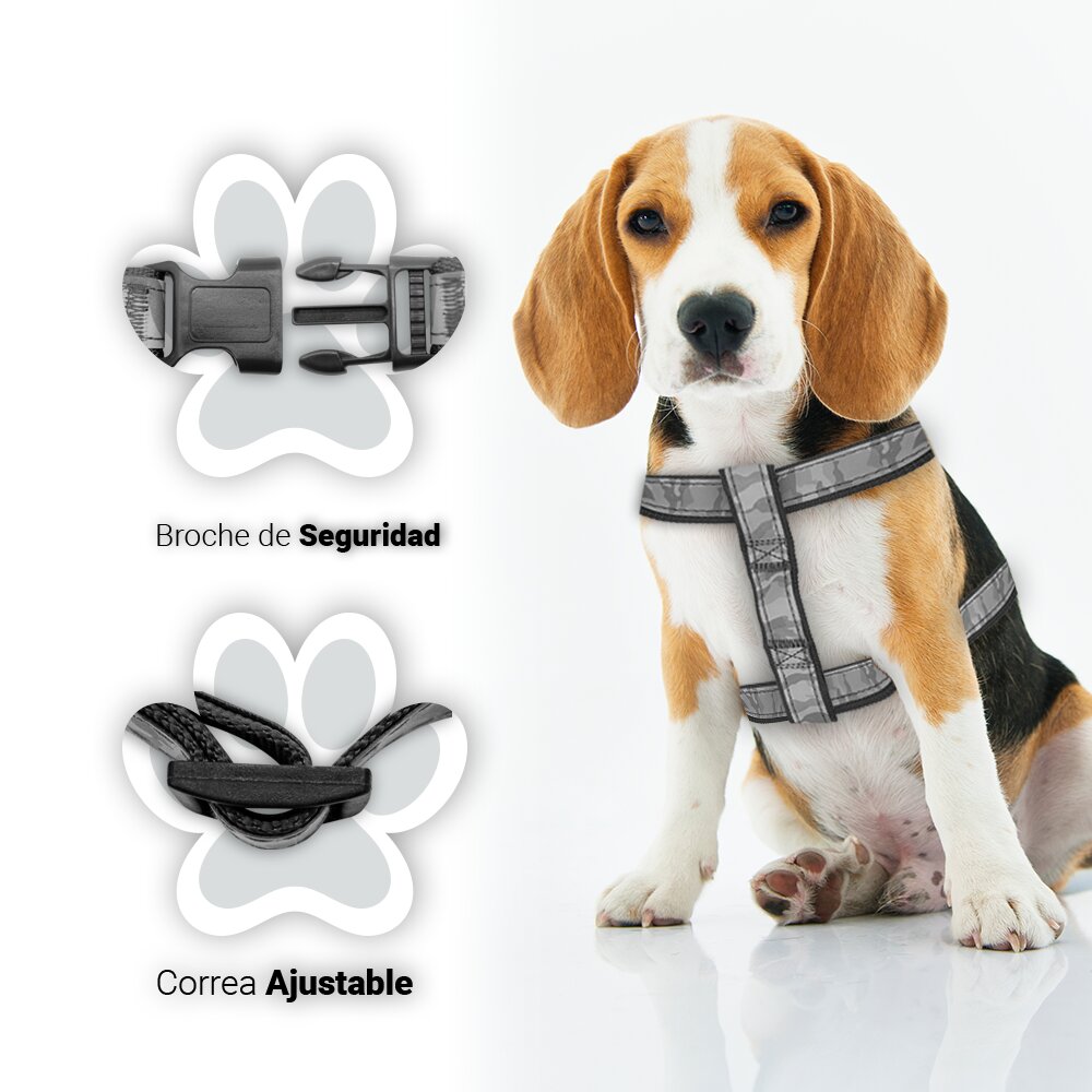 Foto 3 pulgar | Kit para Mascotas de Accesorios Paseo color Negro más Plato Aluminio Resistente