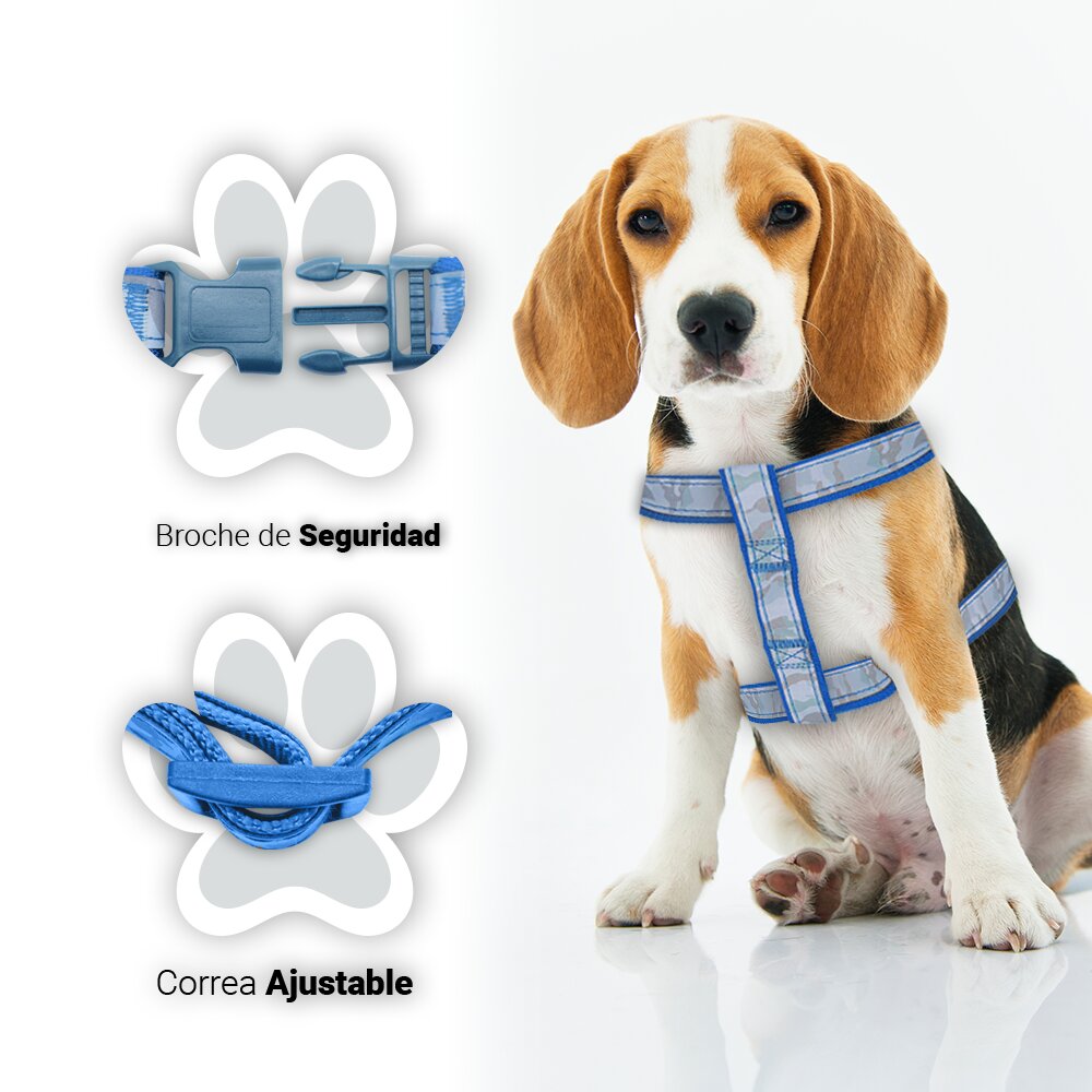 Foto 3 pulgar | Kit para Mascotas Accesorios de Paseo color Azul más Plato Aluminio Resistente