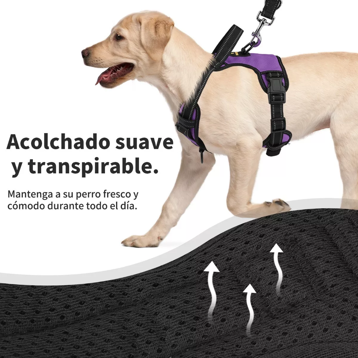 Foto 3 pulgar | Pechera para Perro Regulable Con Bandas Reflectivas Eo Safe Imports Esi-7939 color Púrpura