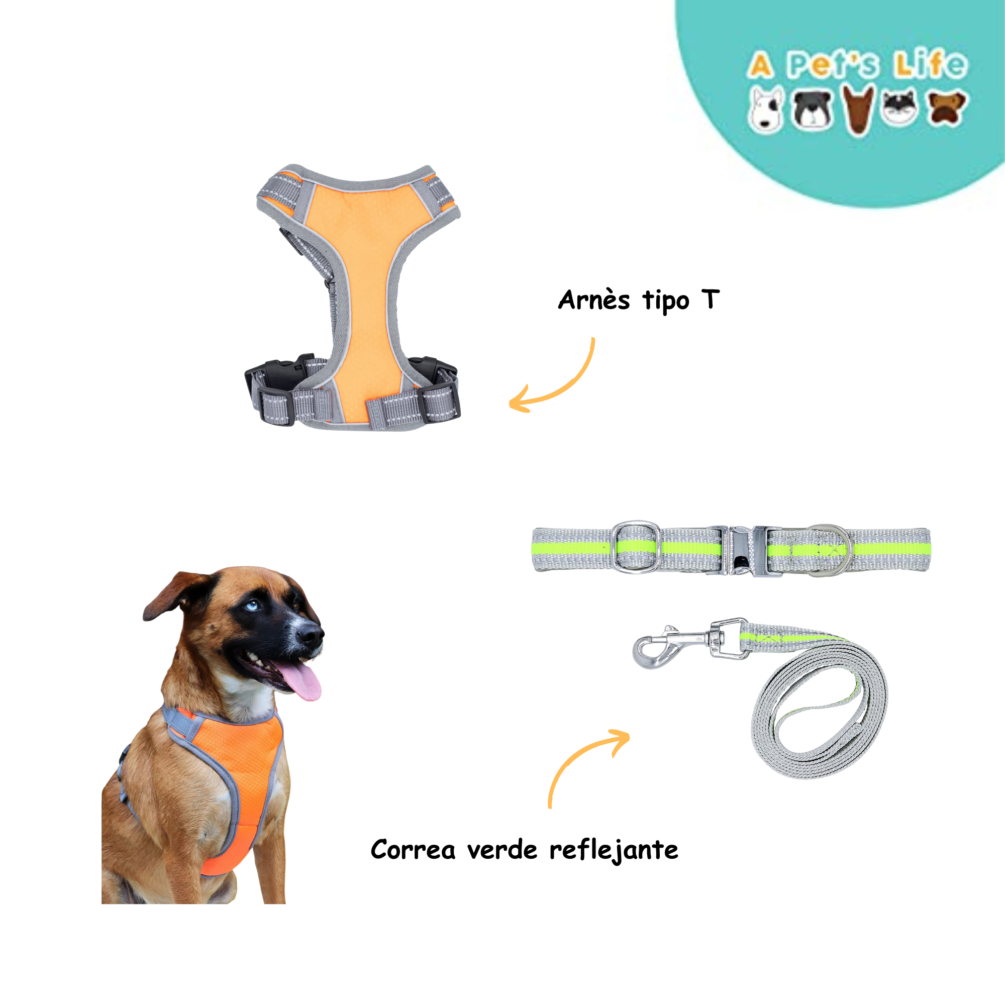 Foto 3 pulgar | A Pets Life Set De Collar Y Correa Reflejante Y Arnés Tipo T Para Perros (chico)