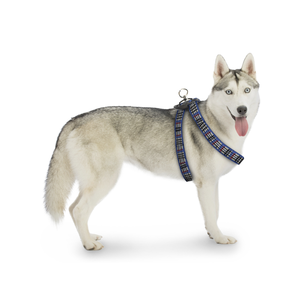 Arnés para Mascota Fancy Pets color Azul Tamaño Grande