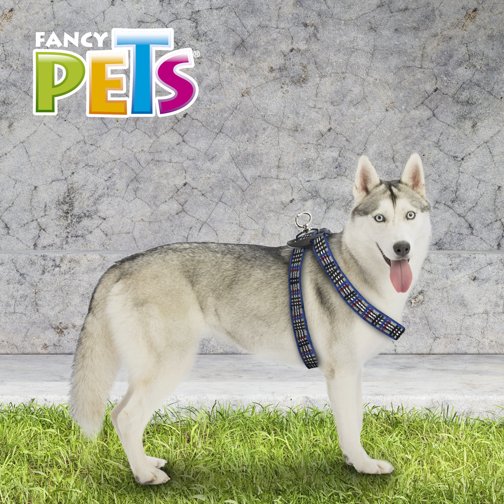Foto 6 pulgar | Arnés para Mascota Fancy Pets color Azul Tamaño Grande