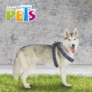 Foto 5 | Arnés para Mascota Fancy Pets color Azul Tamaño Grande