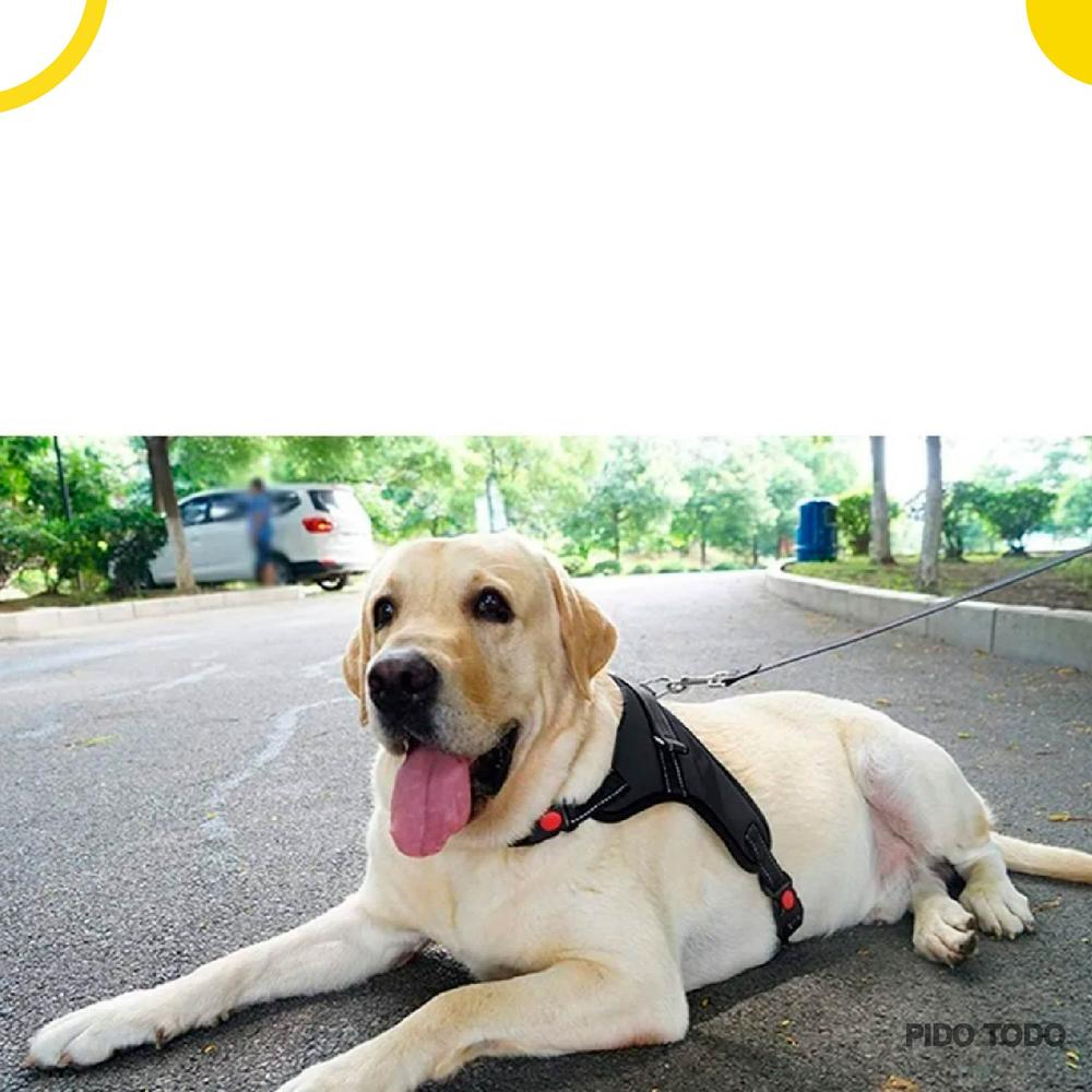 Foto 4 pulgar | Pechera Poli Pets con Correa Talla L 62 cm