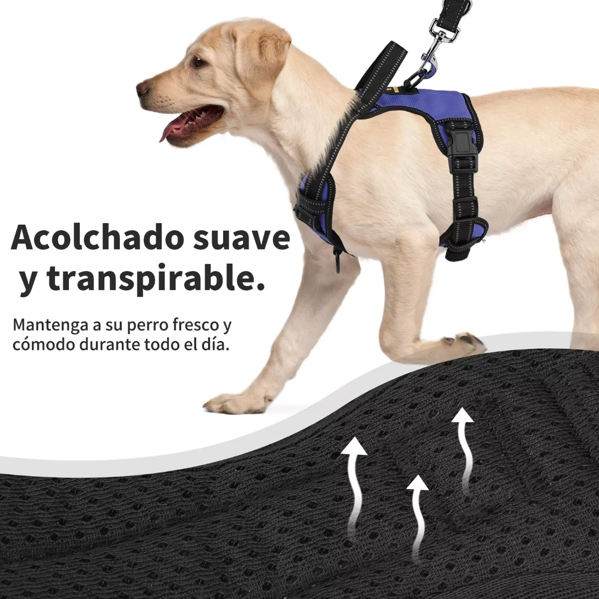Foto 3 pulgar | Pechera Arnés Regulable Con Bandas Reflectivas M  Eo Safe Imports Esi-11559 Azul para Perro