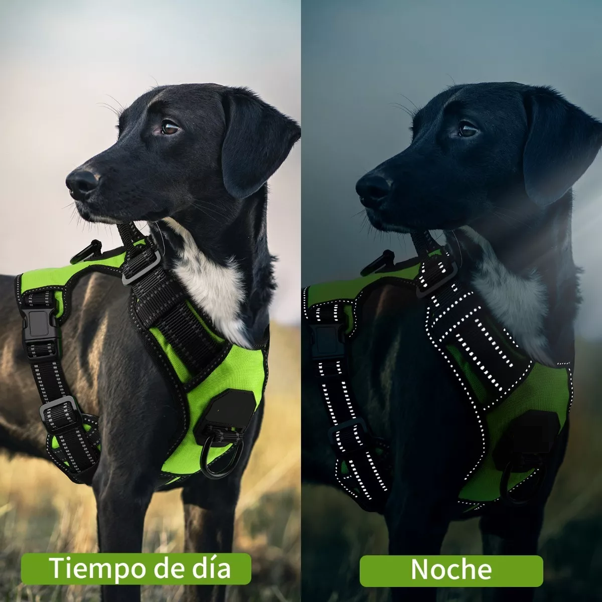 Foto 5 pulgar | Pechera Arnés Regulable Con Bandas Reflectivas M Eo Safe Imports Esi-11565 Verde para Perro