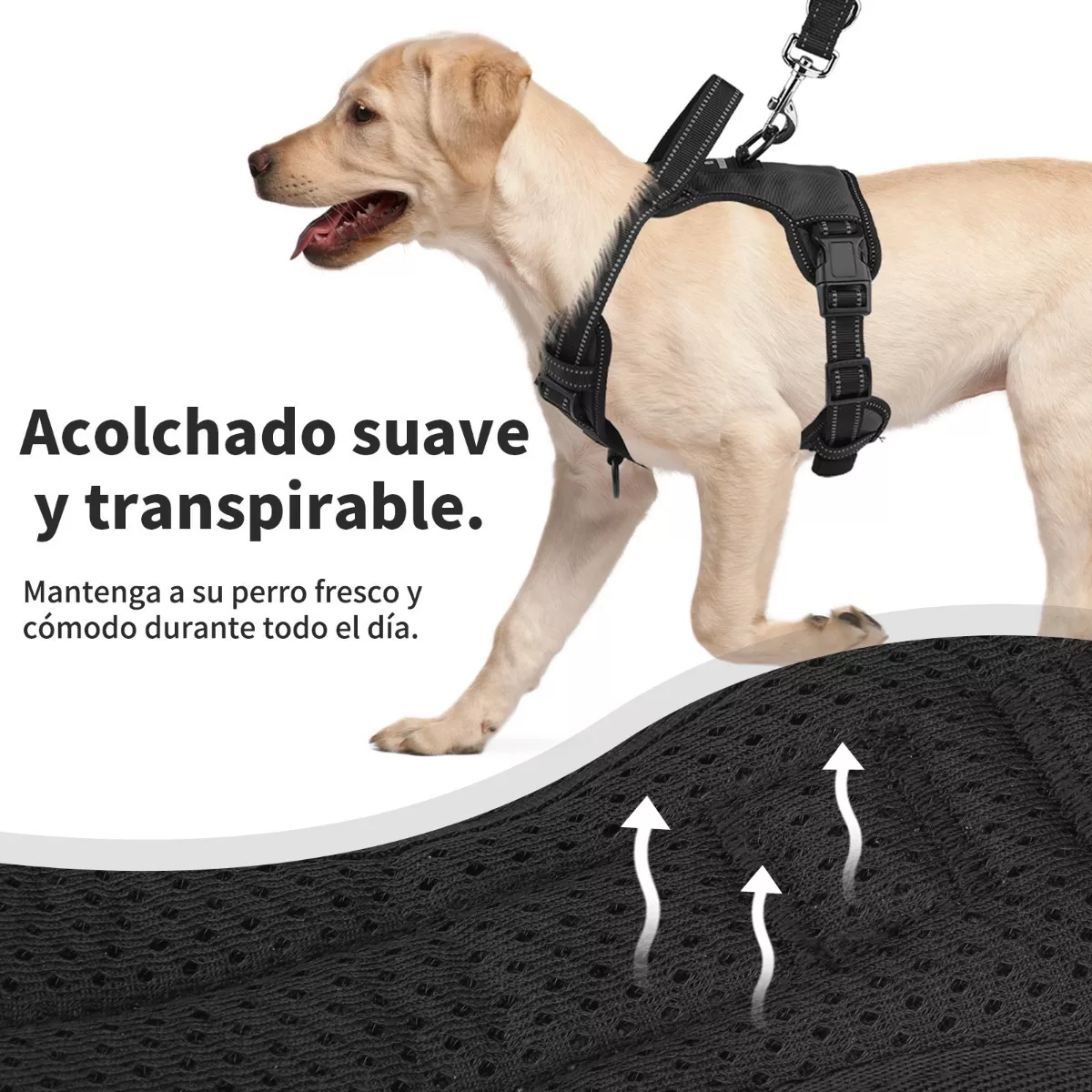 Foto 3 pulgar | Pechera Arnés para Perro Regulable con Bandas Reflectivas Xl Eo Safe Imports Esi-11563 Negra