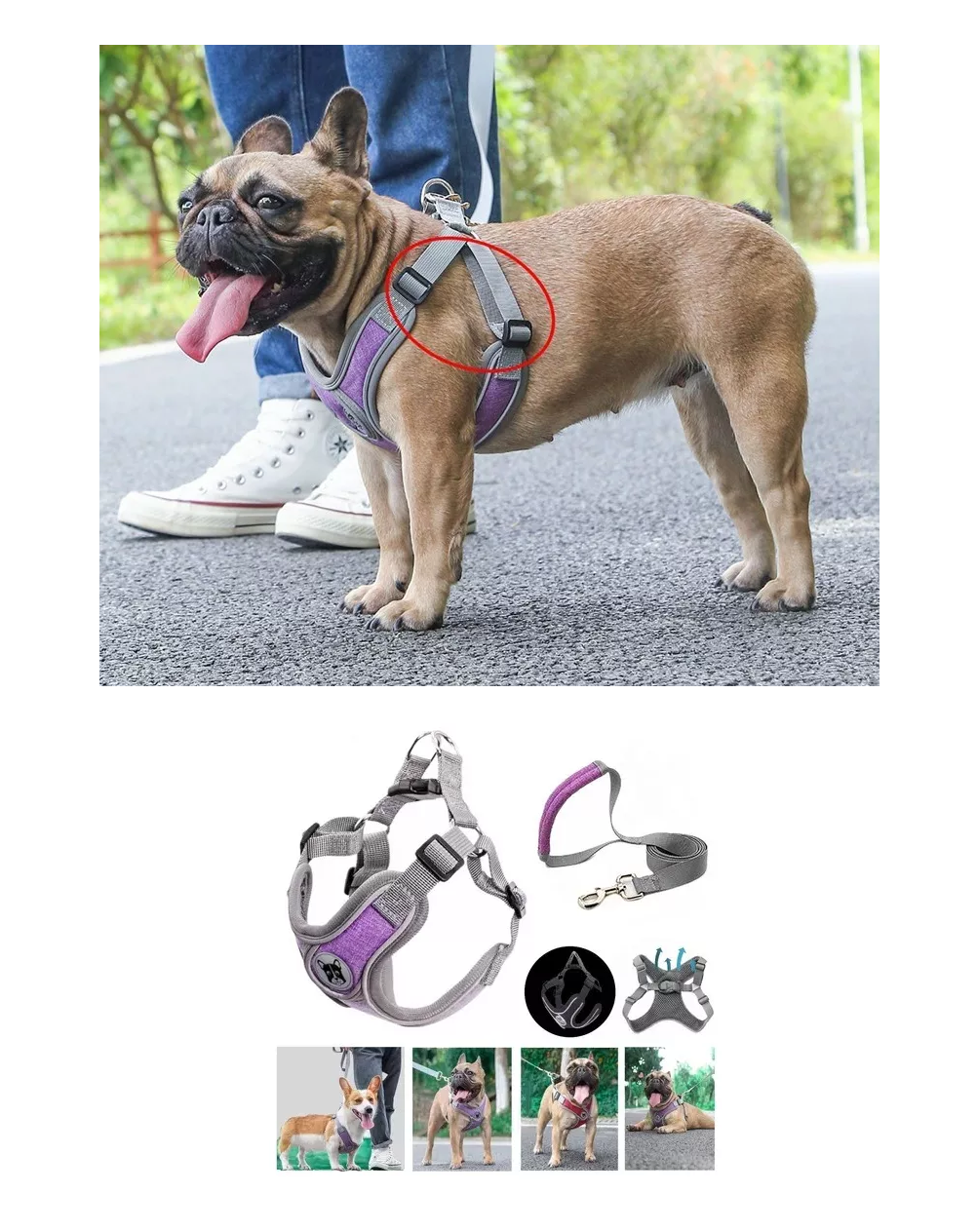 Foto 4 pulgar | Pecheras Arnés Con Correa Y Bandas Reflectantes Para Perros Talla L Violeta Gris