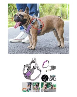 Foto 3 | Pecheras Arnés con Correa Reflectantes para Perros Talla L Violeta