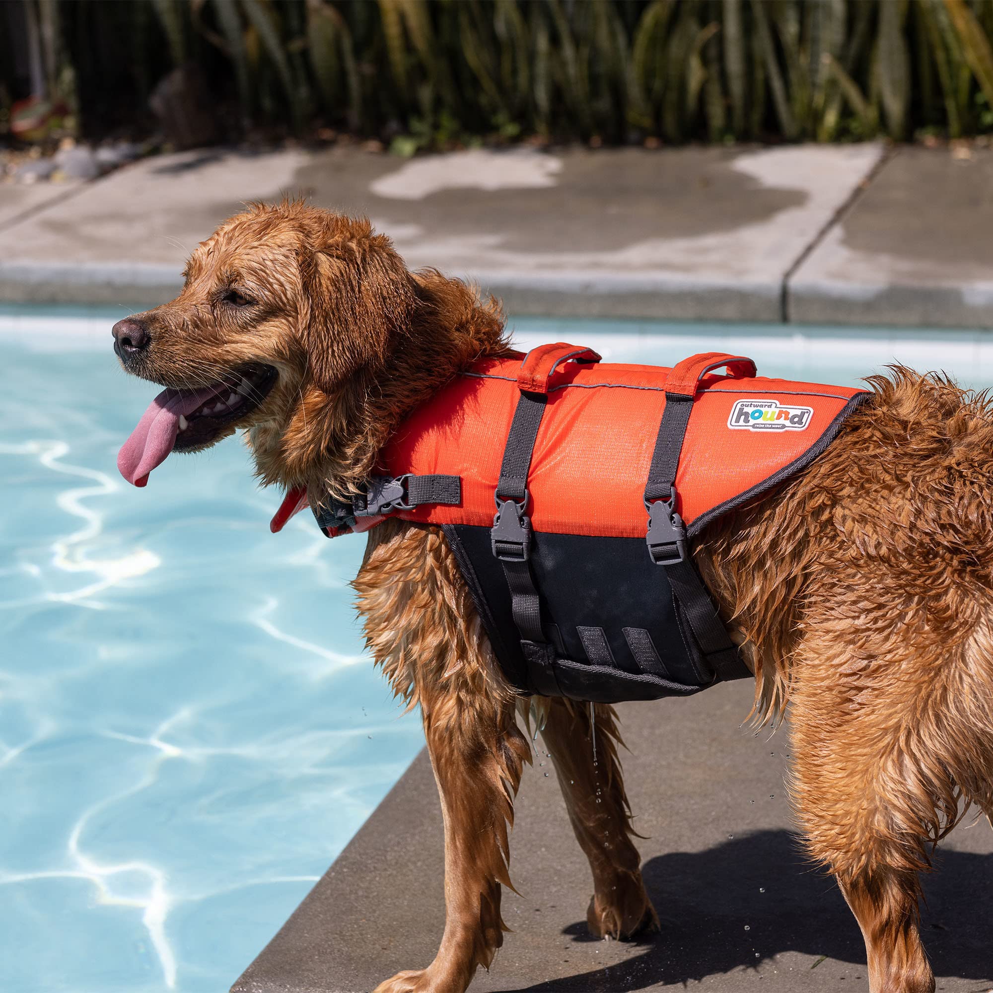 Foto 5 | Chaleco Salvavidas Para Perros Outward Hound Granby Splash Naranja, Tamaño Grande - Venta Internacional.