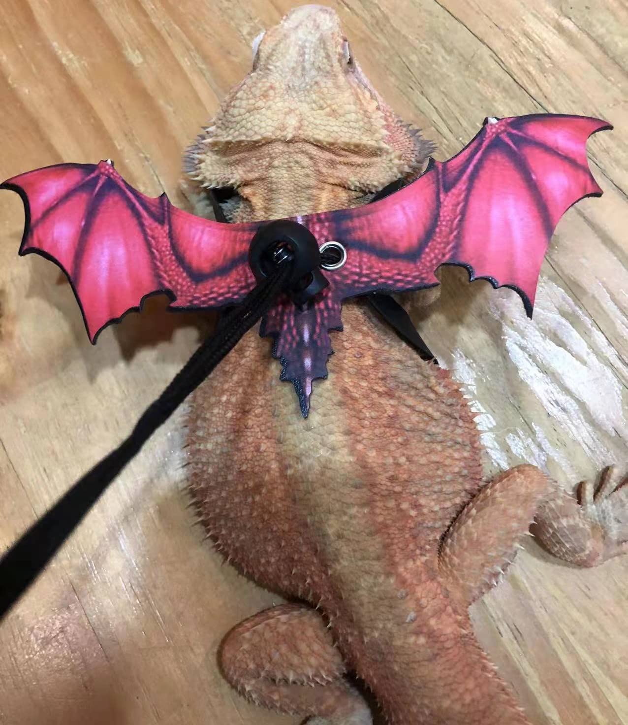 Foto 5 pulgar | Arnés De Correa Para Lagarto Dragón Barbudo, Diseño De Dinosaurio - Venta Internacional.