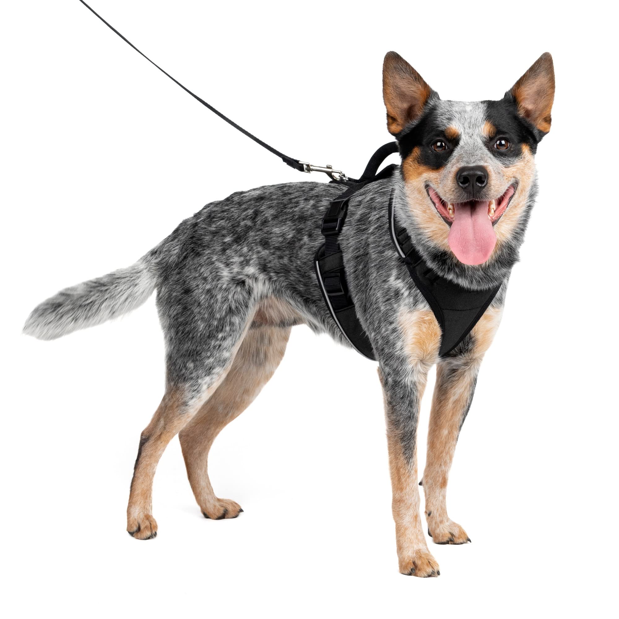 Arnés Para Perros Petsafe Easysport Ajustable Acolchado Negro M - Venta Internacional.