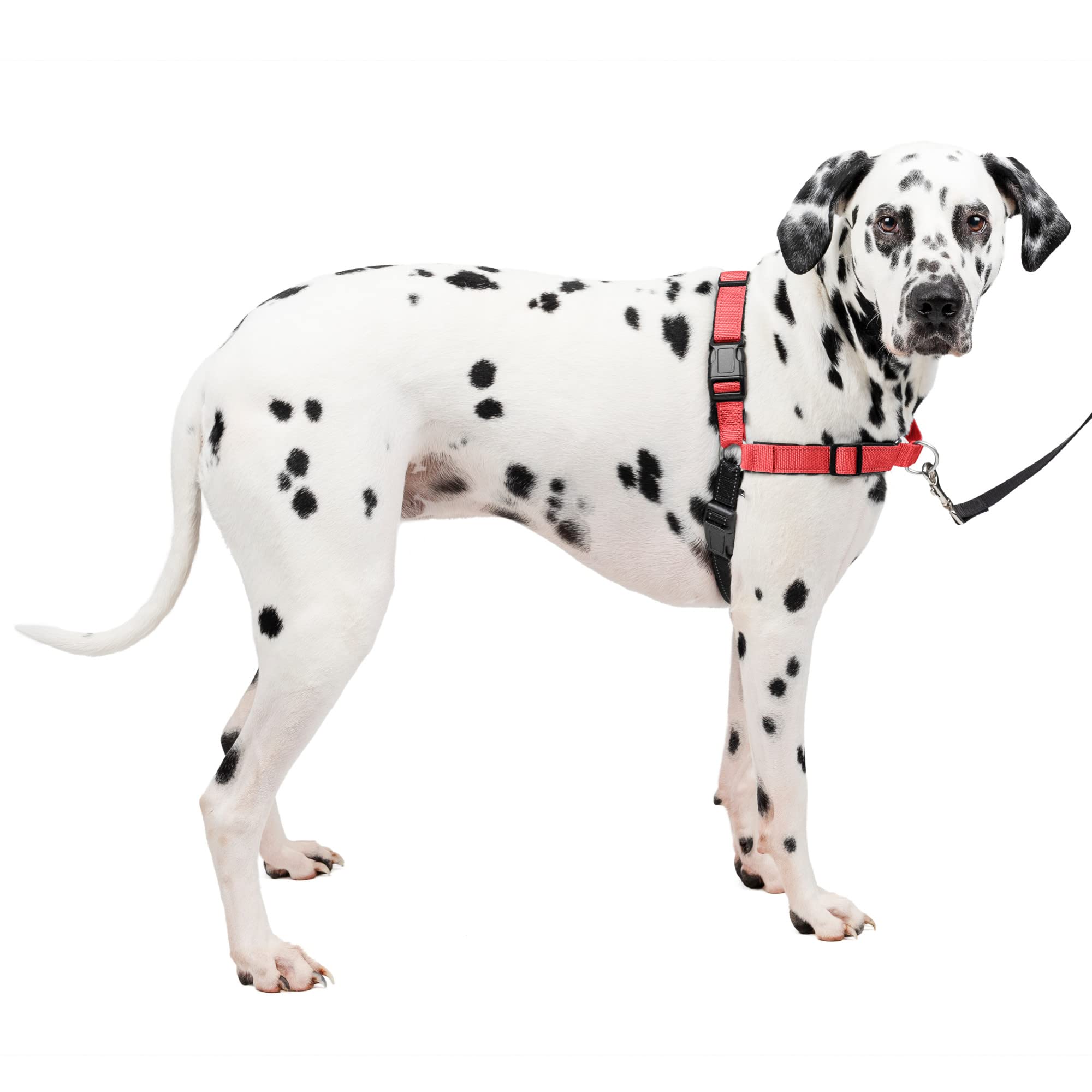 Arnés Para Perros Petsafe  Deluxe Easy Walk  Sin Tirones, Rosa Grande - Venta Internacional.
