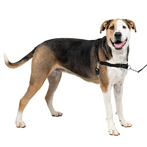Arnés Para Perros Petsafe Easy Walk No Pull, Negro Y Plateado, Xl - Venta Internacional.