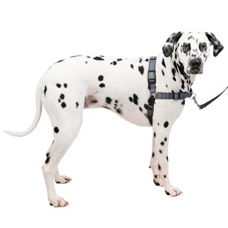 Foto 1 | Arnés Petsafe Deluxe Easy Walk Grande Para Perros - Venta Internacional.