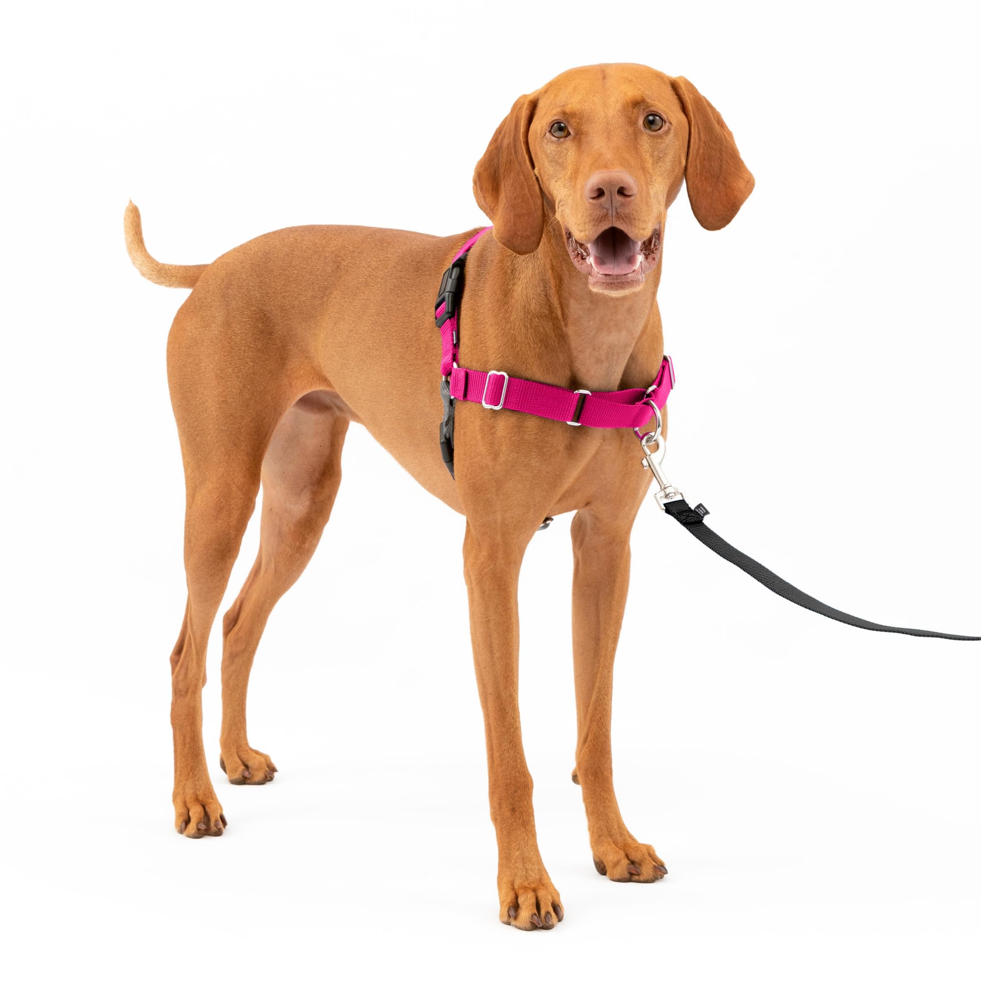 Arnés Para Perros Petsafe Easy Walk No Pull, Color Frambuesa Y Gris, Tamaño Mediano - Venta Internacional.