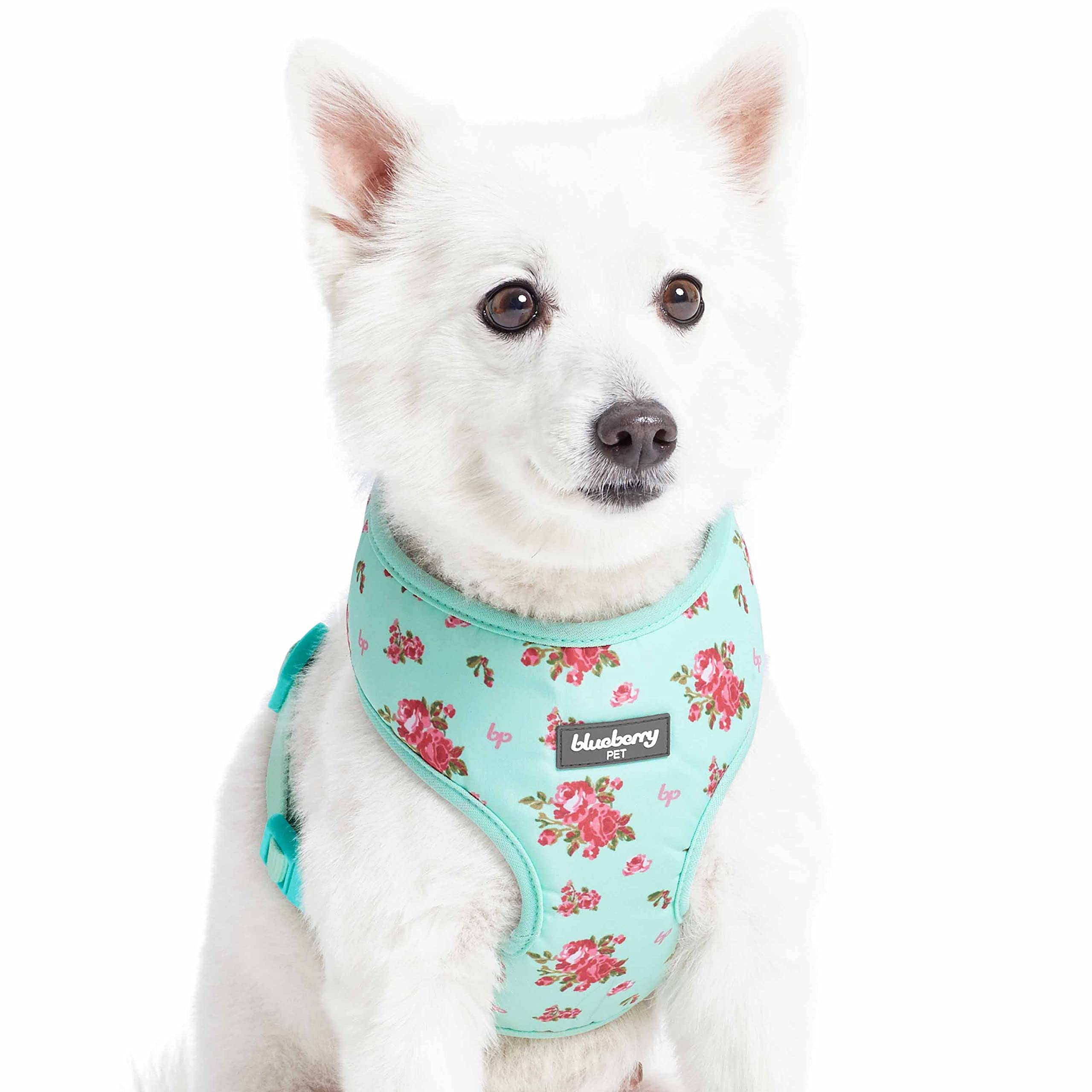 Harness Blueberry Pet, Suave Y Cómodo Aroma Primaveral Para Perro - Venta Internacional.