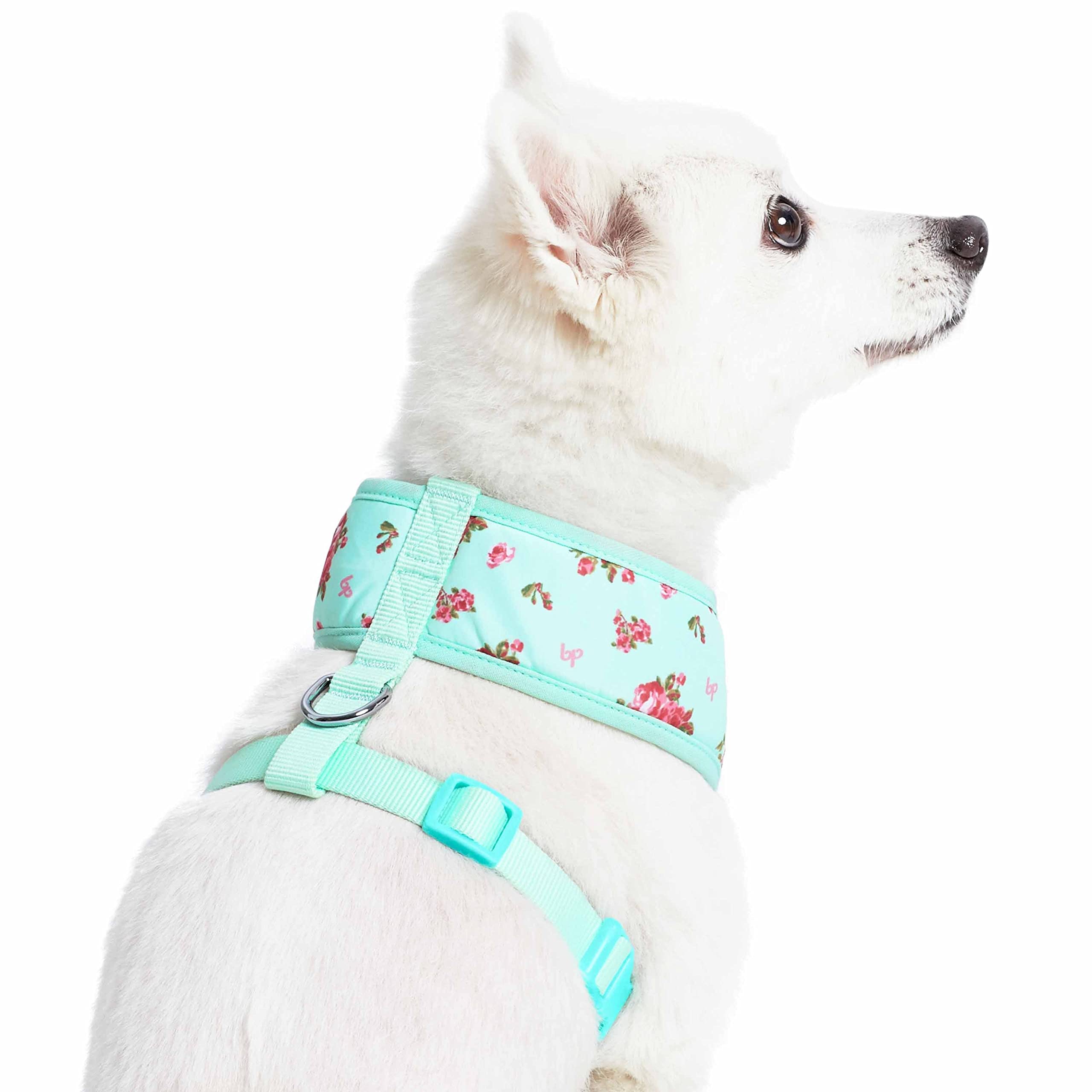 Foto 5 pulgar | Harness Blueberry Pet, Suave Y Cómodo Aroma Primaveral Para Perro - Venta Internacional.